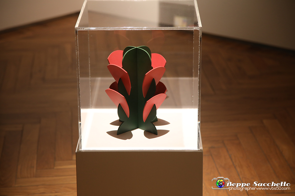 VBS_1325 - Castello di Miradolo - Mostra Oltre il giardino l'Abbecedario di paolo Pejrone.jpg